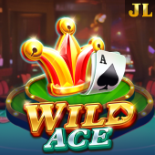 Wild Ace casino plus bonus slot